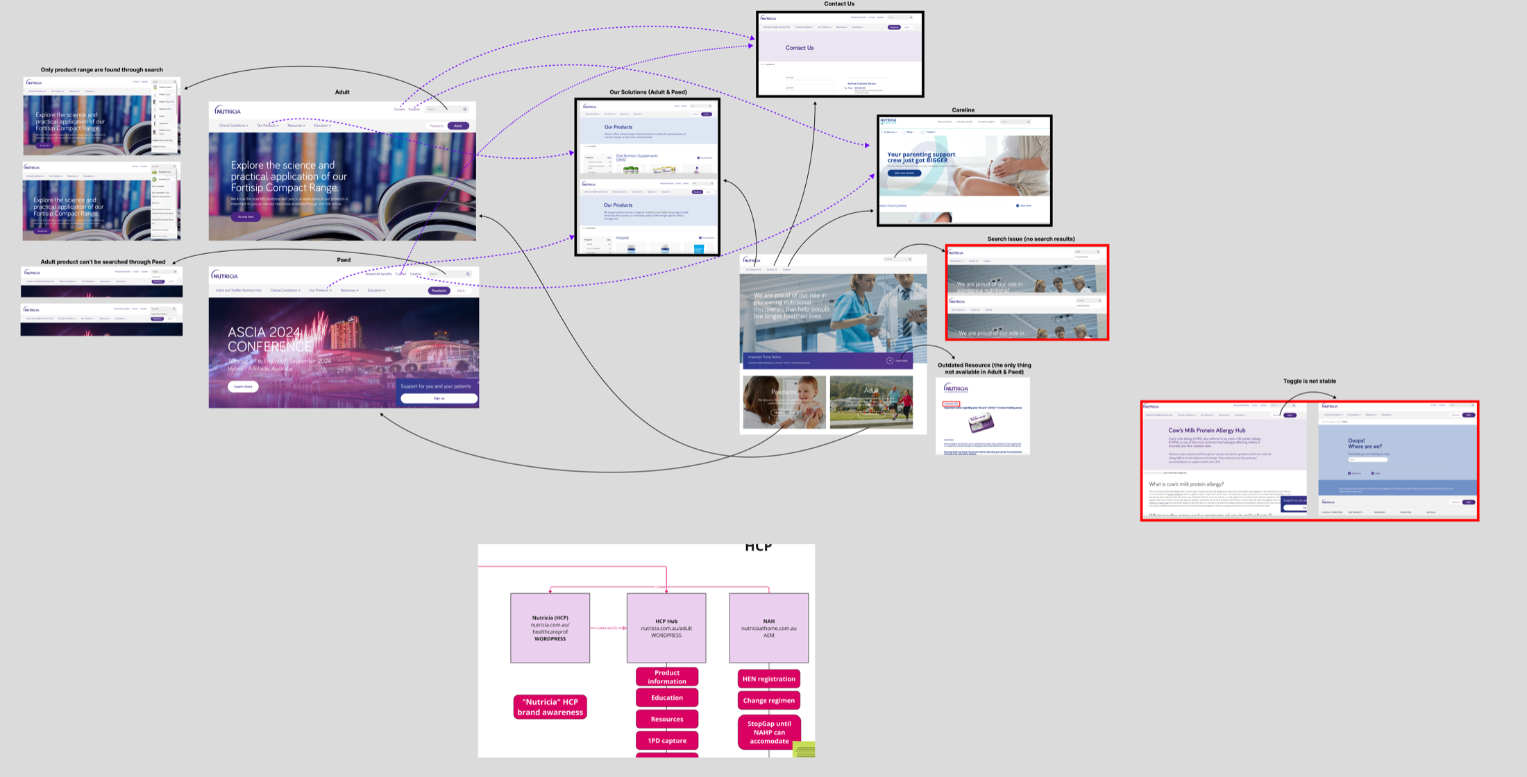 Audit of current Nutricia adult ecosystem — disconnected touchpoints across HCP hub, brand sites, and main site