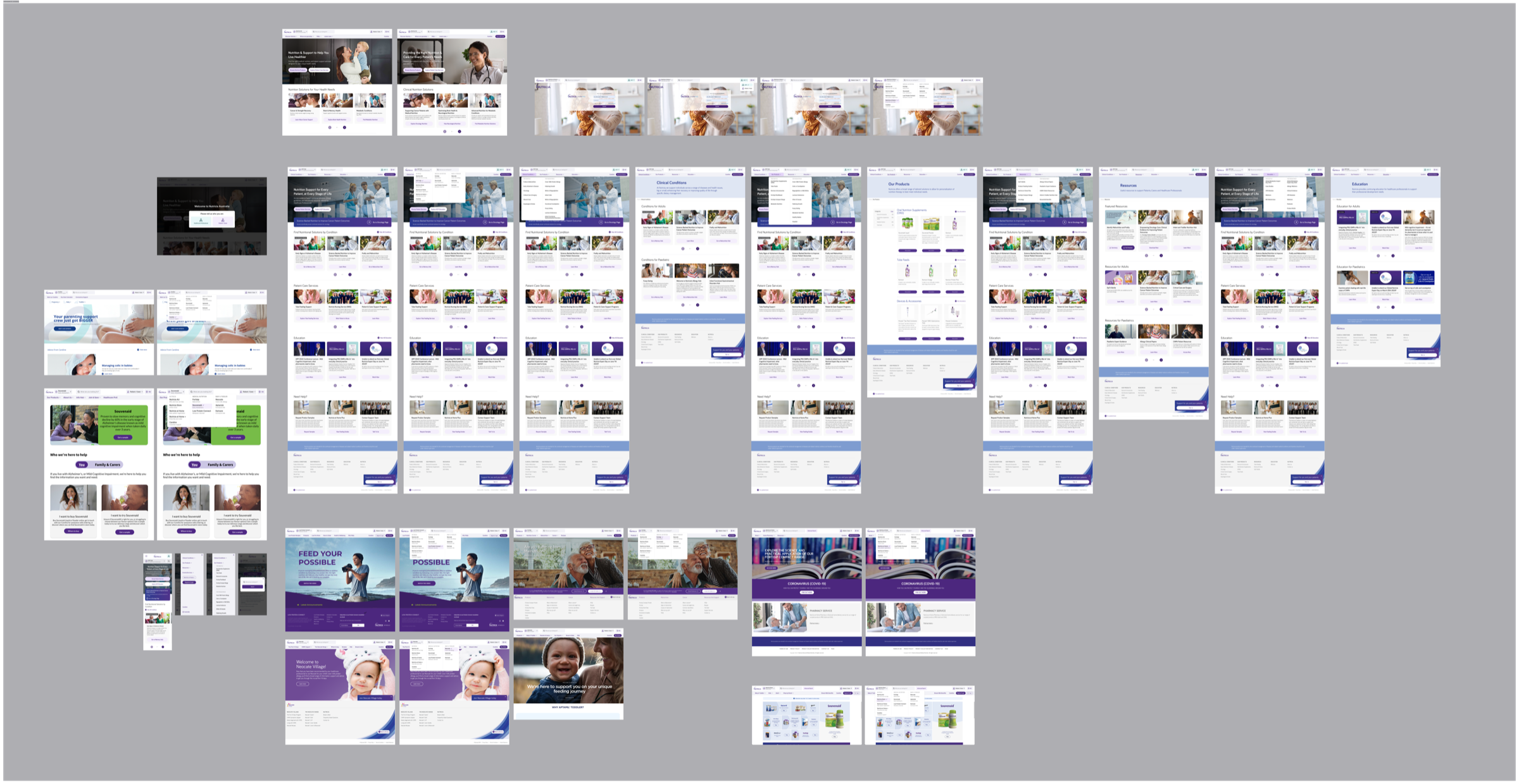 Nutricia Healthcare Ecosystem
